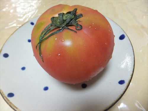 大地を守る会・トマト