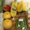ビオマルシェ・有機野菜＆有機果物お試しセット