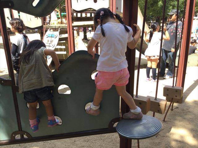 「児童の森」大仙緑地公園の遊具5アスレチック型（幼児後半~小学生向け）