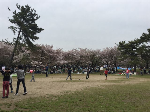 浜寺公園「中央児童遊技場」周辺の芝生