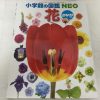 「小学館の図鑑NEO」花（DVDつき）