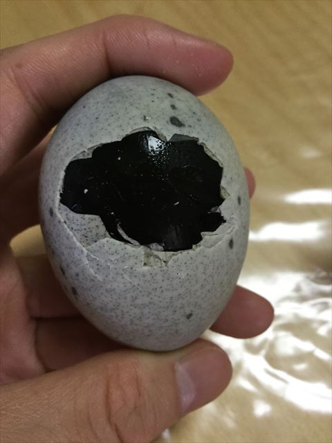 ピータンの卵の殻を割ってみた