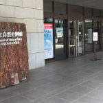 大阪市立自然史博物館入口