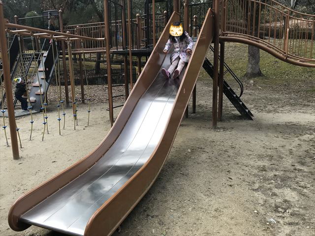 大渕池公園西地区の複合遊具（ミニアスレチックタイプ）。滑り台を滑る娘