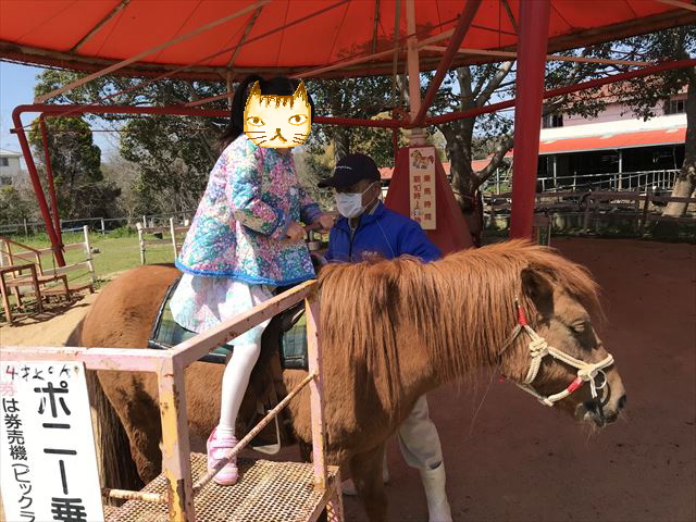 淡路島牧場のポニー乗馬体験。ポニーに乗る様子