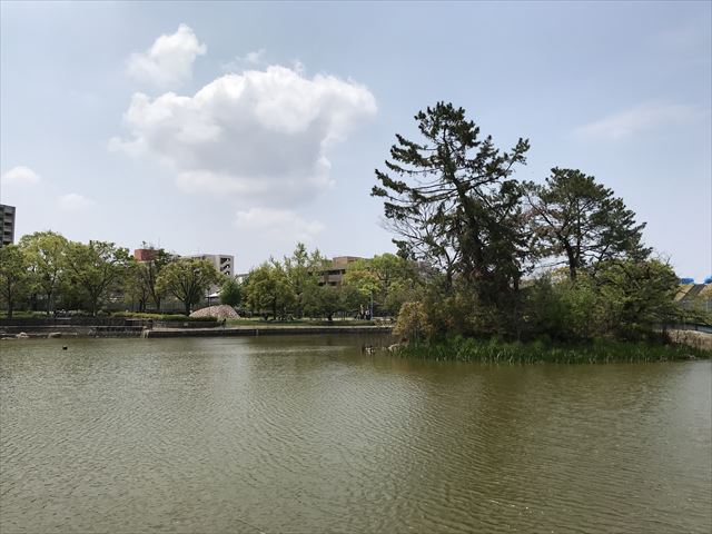 城北公園の池