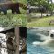天王寺動物園おすすめ動物たち（レッサーパンダ、ホッキョクグマ、アフリカサバンナエリア、コアラ）