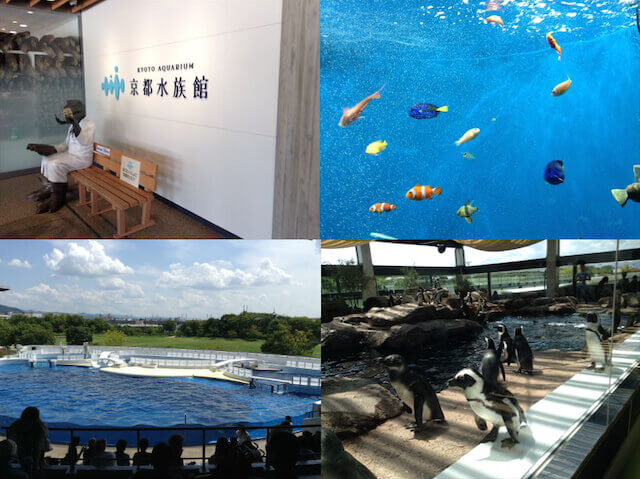 京都水族館（入り口、熱帯魚、イルカショー、ペンギン）