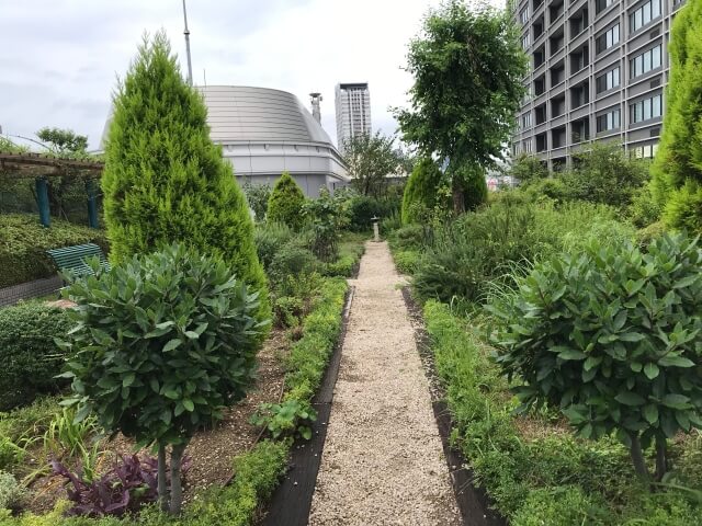 「OCAT屋上ガーデン」緑の小道