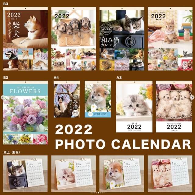ダイソー「お正月グッズ2022」犬と猫のカレンダー