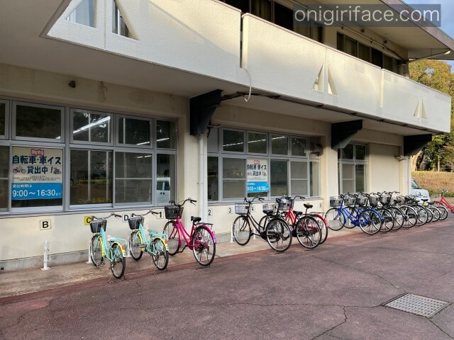 大泉緑地のレンタル自転車