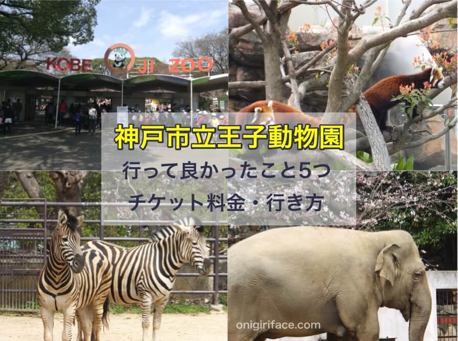 神戸市立王子動物園に行って良かったこと5つ。チケット料金や行き方も紹介