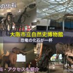 大阪市立自然史博物館は恐竜の化石が一杯！入場料・アクセスも紹介