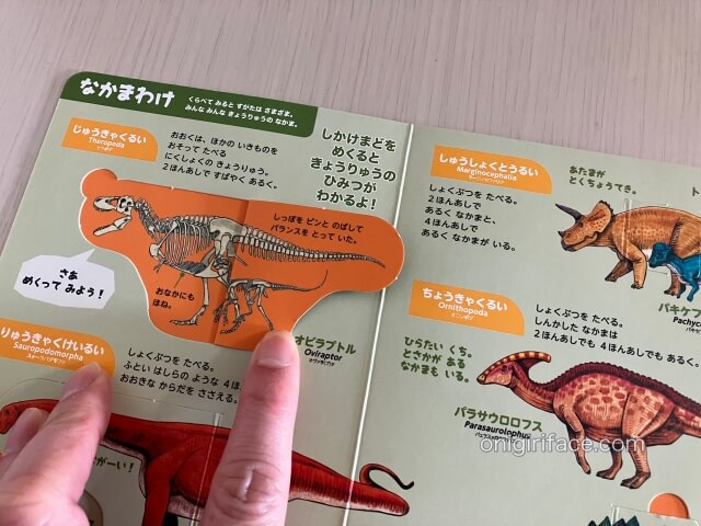 ハッピーセット図鑑「まどあけずかん 恐竜 英語つき」窓開けして恐竜の骨を見た様子